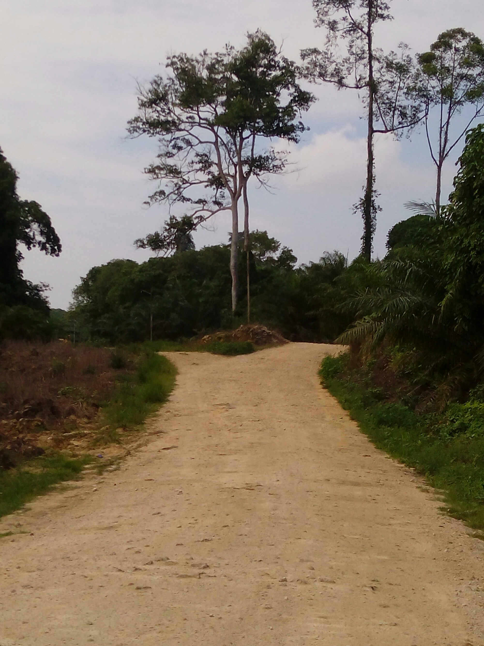 IMG_20160328_135708.jpg image