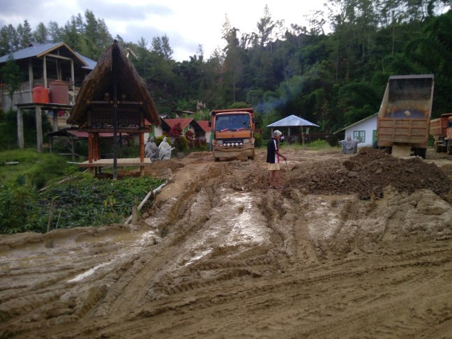 IMG_20160405_163059.jpg image