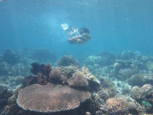 20160427101803_IMG_2669.JPG image