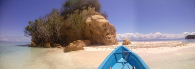 IMG_20160512_102646.jpg image