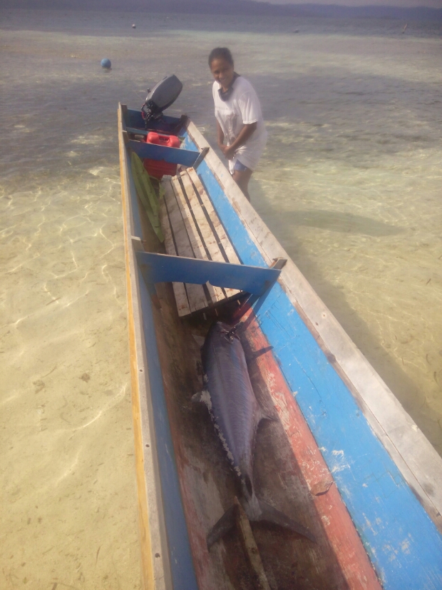 IMG_20160513_141628.jpg image